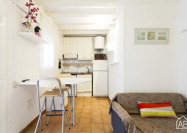 Basic apartment in the Barceloneta area