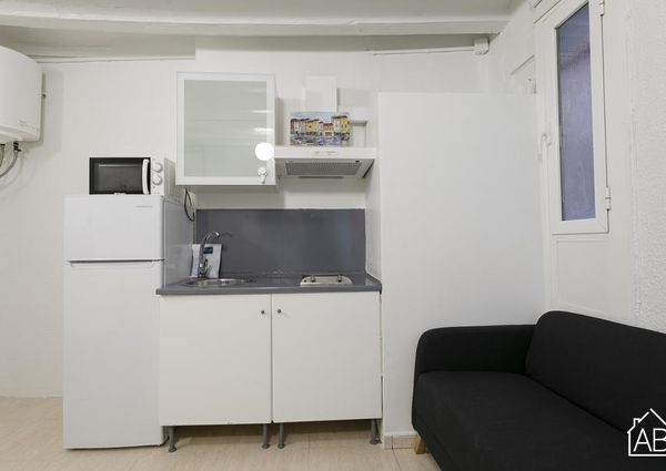 Cosy apartment in the Barceloneta area