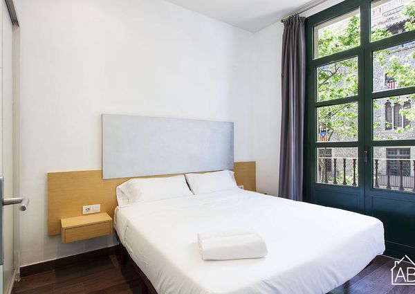 Lovely 2-bedroom Apartment in El Born